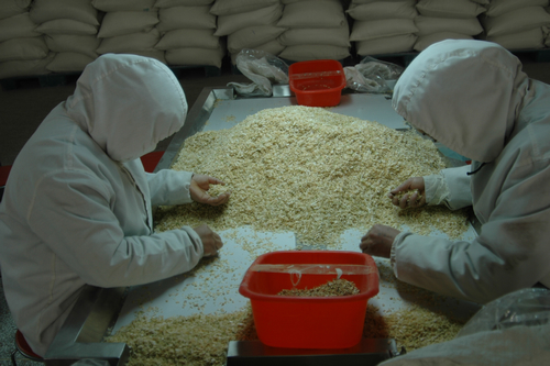 蘭州海關(guān)關(guān)長張銀喜等領(lǐng)導到敦煌種業(yè)百佳食品公司調(diào)研