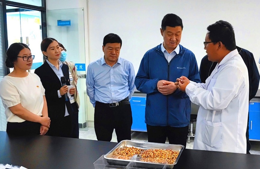 甘肅省地方金融監(jiān)管局、甘肅證監(jiān)局領(lǐng)導(dǎo)蒞臨敦煌種業(yè)調(diào)研指導(dǎo)